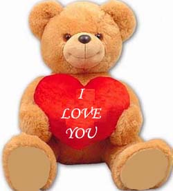 teddy bear i love u