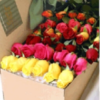 Box Of roses...