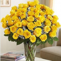 24 Yellow  Rose