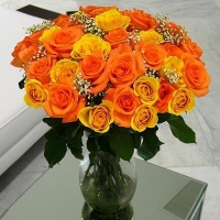 3 Dozen Orange & Yellow Roses Baby Breath