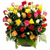 24 Multi Colored Roses basket