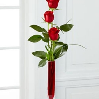 3 Red Rose