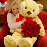 12 RED ROSES WITH BIG TEDDY BEAR