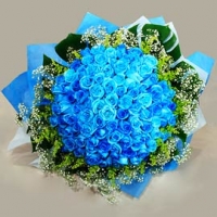 36 Blue Roses Bunch