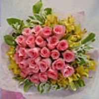 3 dozen pink roses