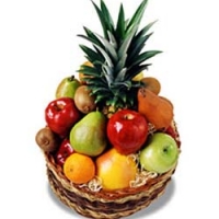 Delightful Fruit 2