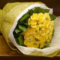 36 Yellow  Rose
