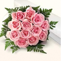 Pink rose for you