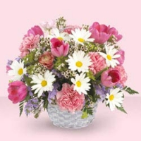 Assorted basket