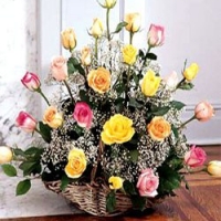 Mixed Rose Basket
