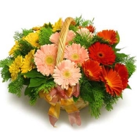 mix Gerberas basket