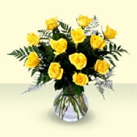 Have a Nice Day