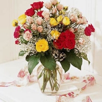 Mixed roses