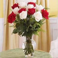Petals of Love