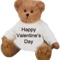 brown teddy 2