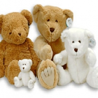 cutie bear