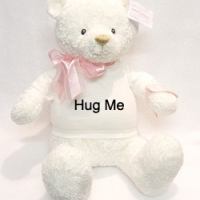 hug me bear