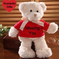 teddy in red
