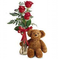 Roses with teddy