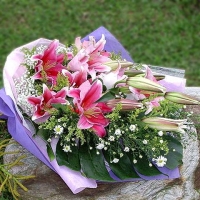 6 Pink Lily Handbouquet.