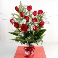 12 Red Roses