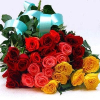 Multi Color Roses Posy